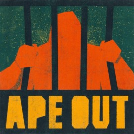 APE OUT общий оффлайн аккаунт навсегда с неограниченным кол-вом активаций в Steam