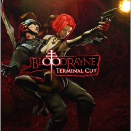 BloodRayne: Terminal Cut общий оффлайн аккаунт навсегда с неограниченным кол-вом активаций в Steam