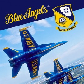  Blue Angels Aerobatic Flight Simulator Xbox One & Series X|S 