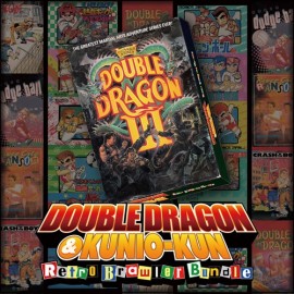  DOUBLE DRAGON Ⅲ: The Sacred Stones Xbox One & Series X|S 