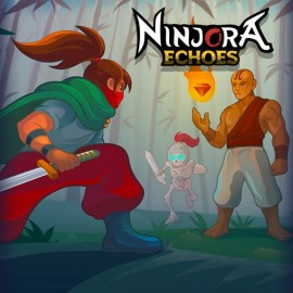 Купить игру Ninjora Echoes Xbox One & Series X|S (ключ / на аккаунт / аренда аккаунта)