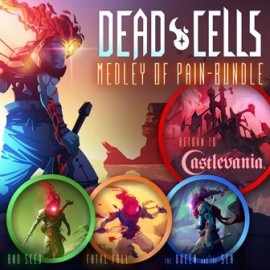 Dead Cells: Medley of Pain Bundle общий оффлайн аккаунт навсегда с неограниченным кол-вом активаций в Steam