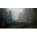 Pacific Drive: Ritual Edition общий оффлайн аккаунт навсегда с неограниченным кол-вом активаций в Steam