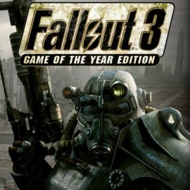 Fallout 3 Game of the Year Edition общий оффлайн аккаунт навсегда с неограниченным кол-вом активаций в Steam