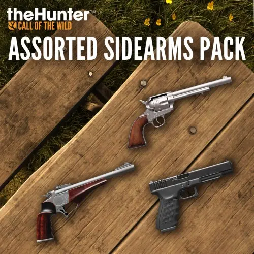 theHunter Call of the Wild - Assorted Sidearms Pack - theHunter: Call of the Wild Xbox One & Series X|S (покупка на новый аккаунт)