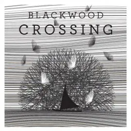 Blackwood Crossing Xbox One & Series X|S (покупка на любой аккаунт / ключ) (Аргентина)