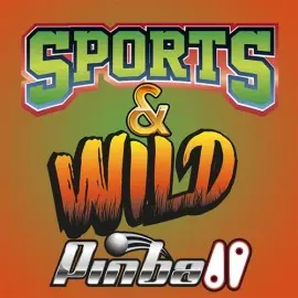 Sports & Wild Pinball Xbox One & Series X|S (покупка на любой аккаунт) (США)