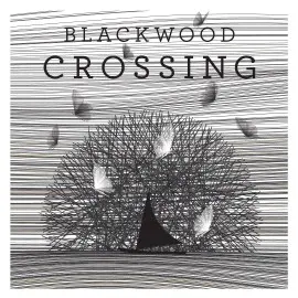 Blackwood Crossing Xbox One & Series X|S (покупка на новый аккаунт) (Турция)