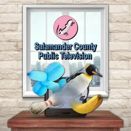 Salamander County Public Television Xbox One & Series X|S (покупка на новый аккаунт) (Турция)