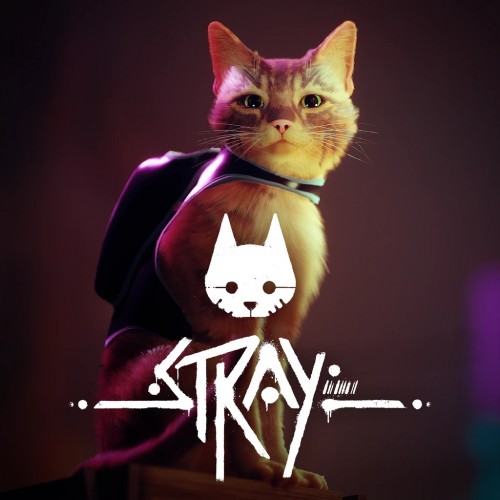 Stray общий оффлайн аккаунт навсегда с неограниченным кол-вом активаций в Steam