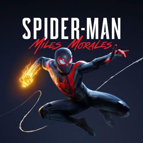 Marvel's Spider-Man: Miles Morales общий оффлайн аккаунт навсегда с неограниченным кол-вом активаций в Steam