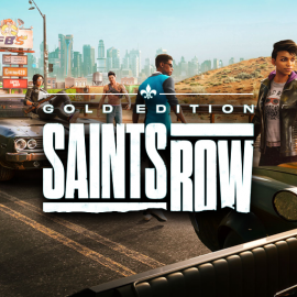 Saints Row The Third Remastered + Saints Row Gold Edition общий оффлайн аккаунт навсегда с неограниченным кол-вом активаций в Steam