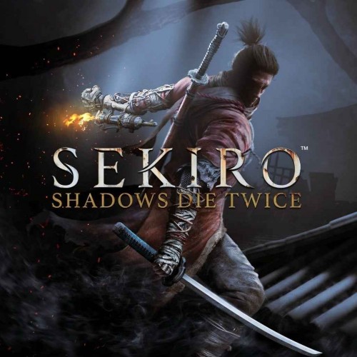 Sekiro: Shadows Die Twice - GOTY Edition общий оффлайн аккаунт навсегда с неограниченным кол-вом активаций в Steam