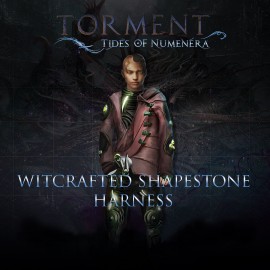 Вязанная хитростью рудная перевязь - Torment: Tides of Numenera Xbox One & Series X|S (покупка на аккаунт)