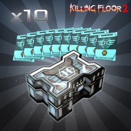 Ящик с аксессуарами Horzine | тип 5: серебряный набор - Killing Floor 2 Xbox One & Series X|S (покупка на аккаунт)