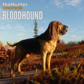 theHunter: Call of the Wild - Bloodhound Xbox One & Series X|S (покупка на аккаунт) (Турция)