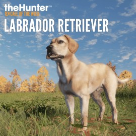 theHunter: Call of the Wild - Labrador Retriever Xbox One & Series X|S (покупка на аккаунт) (Турция)