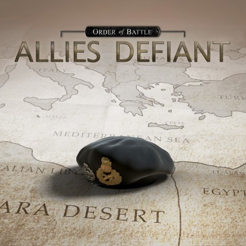 Order of Battle: Allies Defiant - Order of Battle: World War II Xbox One & Series X|S (покупка на аккаунт / ключ) (США)