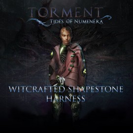 Witcrafted Shapestone Harness - Torment: Tides of Numenera Xbox One & Series X|S (покупка на аккаунт / ключ) (США)