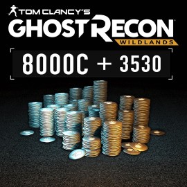 Tom Clancy’s Ghost Recon Wildlands - Extra Large Pack 11530 GR Credits - Tom Clancy’s Ghost Recon Wildlands - Standard Edition Xbox One & Series X|S (покупка на любой аккаунт) (США)