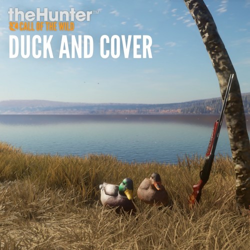 theHunter: Call of the Wild - Duck and Cover Pack Xbox One & Series X|S (покупка на любой аккаунт / ключ) (США)