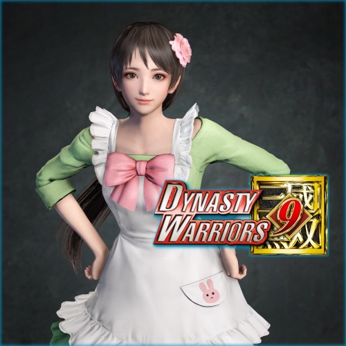 DYNASTY WARRIORS 9: Xiahouji 