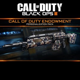 CODE Warriors Personalization Pack - Call of Duty: Black Ops III  (покупка на аккаунт / ключ) (США)