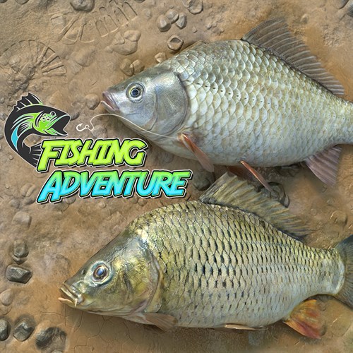 Fishing Adventure Xbox One & Series X|S (покупка на любой аккаунт / ключ) (Аргентина)