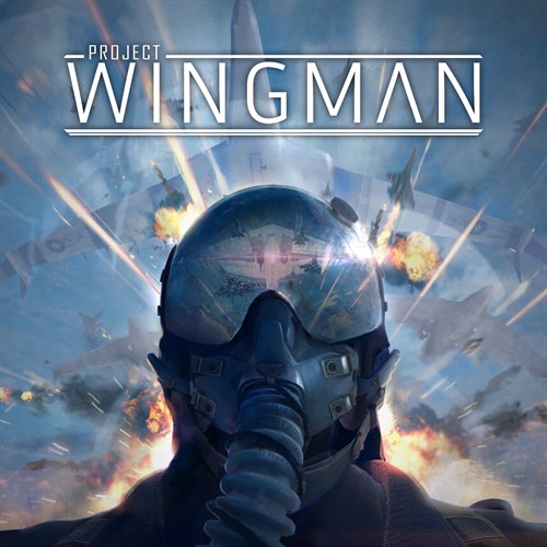 Project Wingman Xbox One & Series X|S (покупка на любой аккаунт / ключ) (Турция)