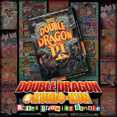 DOUBLE DRAGON Ⅲ: The Sacred Stones Xbox One & Series X|S (покупка на любой аккаунт / ключ) (Польша)