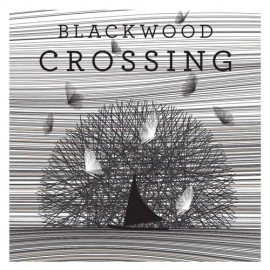 Blackwood Crossing Xbox One & Series X|S (покупка на любой аккаунт / ключ) (Польша)