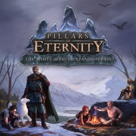 Pillars of Eternity: The White March Expansion Pass - Pillars of Eternity: Hero Edition  (покупка на новый аккаунт) (Турция)