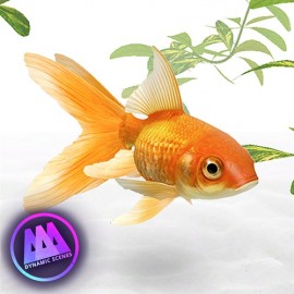 AAA Dynamic Scenes - Golden Fish Aquarium Dynamic Scene Xbox One & Series X|S (покупка на новый аккаунт) (Турция)
