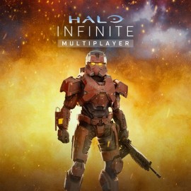 Halo Infinite Xbox One & Series X|S (покупка на любой аккаунт / ключ) (США)