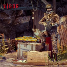 Vigor - Doomsday Raider Pack Xbox One & Series X|S (покупка на любой аккаунт / ключ) (США)