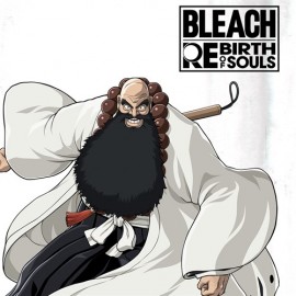 BLEACH Rebirth of Souls - Ichibe Hyosube Xbox Series X|S (покупка на новый аккаунт) (Турция)