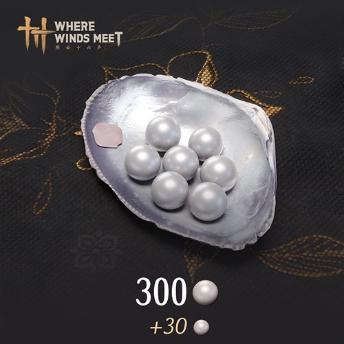 Where Winds Meet-300 Echo Beads Xbox Series X|S (покупка на новый аккаунт) (Турция)