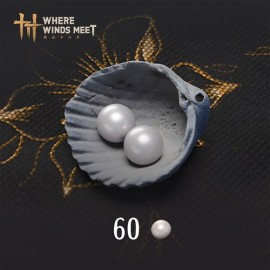 Where Winds Meet-60 Echo Beads Xbox Series X|S (покупка на любой аккаунт) (США)