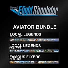 Microsoft Flight Simulator (2020): Aviator Pack XBOX Series X|S (покупка на любой аккаунт / ключ) (США)