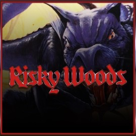 Risky Woods (QUByte Classics) Xbox One & Series X|S (покупка на аккаунт) (Турция)