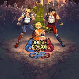 Double Dragon Gaiden: Rise of the Dragons Xbox One & Series X|S (покупка на аккаунт) (Турция)