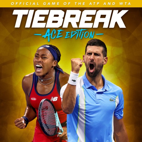 Tiebreak: Official Game of the ATP and WTA Xbox One & Series X|S (покупка на аккаунт) (Турция)