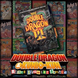 DOUBLE DRAGON Ⅲ: The Sacred Stones Xbox One & Series X|S (покупка на аккаунт) (США)