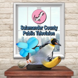 Salamander County Public Television Xbox One & Series X|S (покупка на аккаунт) (США)